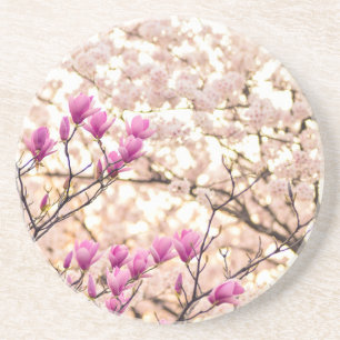 Blooming Pink Purple Magnolias Spring Flower Coaster