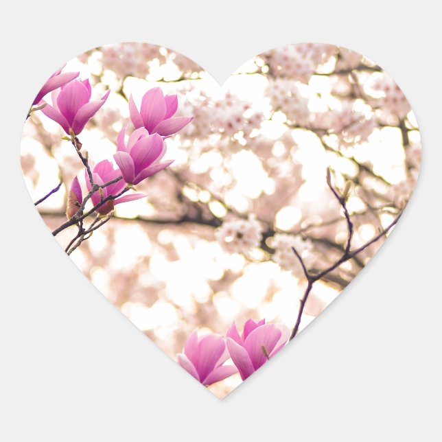 Blooming Pink Purple Magnolias Spring Flower Heart Sticker (Front)