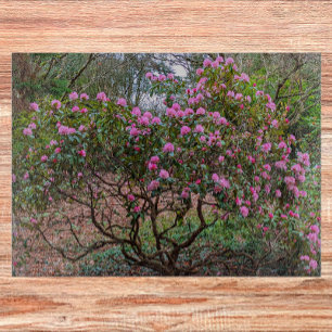 Blooming Pink Rhododendron Shrub Floral Cutting Board