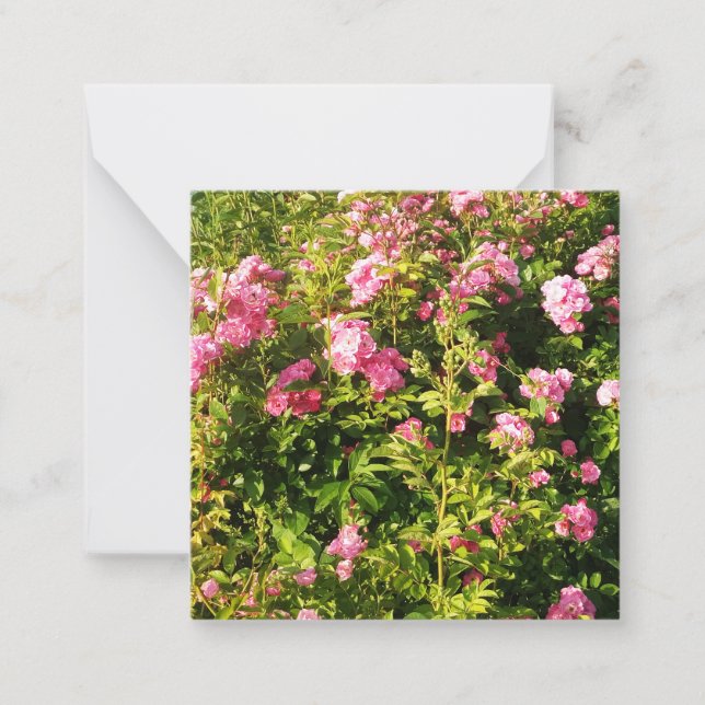 Blooming Pink Roses  Card (Front)