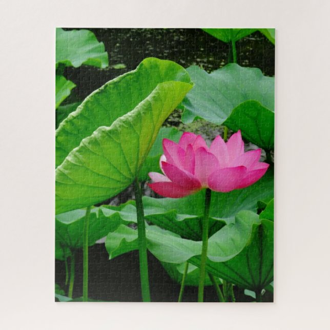 Blooming Pink Water Lily Jigsaw Puzzle (Vertical)