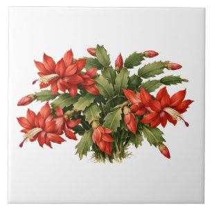 Blooming Red Christmas Cactus Plant Tile