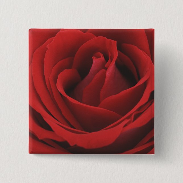 Blooming Red Rose 15 Cm Square Badge (Front)