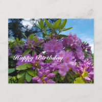 Blooming Rhododendron Happy Birthday