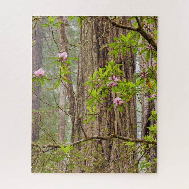Blooming Rhododendrons | Redwoods State Park,CA Jigsaw Puzzle (Vertical)