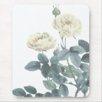 Blooming Roses Summer Floral Botanical