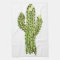Blooming Saguaro Cactus