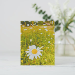 Blooming scandinavian summer field holiday postcard