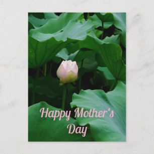 Blooming Soon Postcard