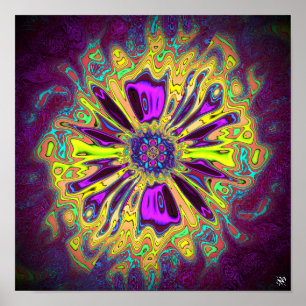 Blooming star-flower v1 patterns pareidolia poster