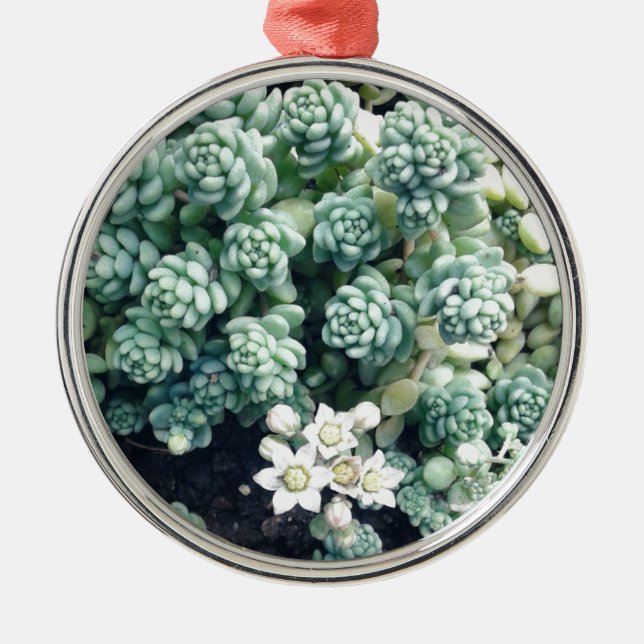 Blooming Succulent Plant Metal Tree Decoration (Front)