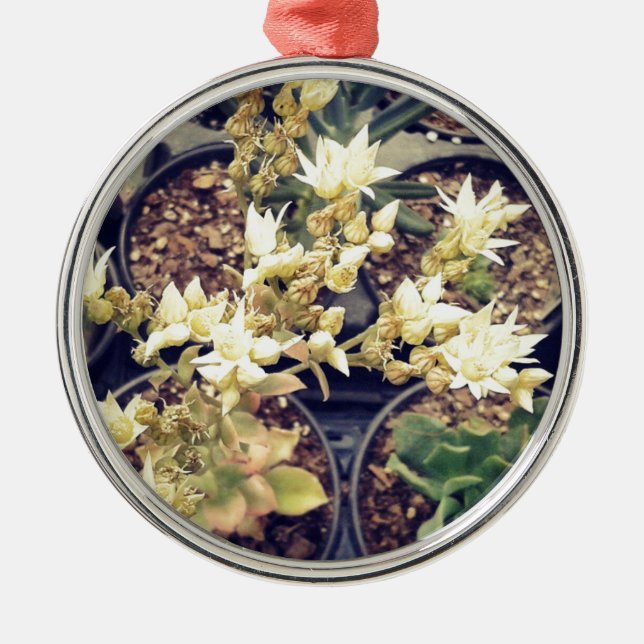 Blooming Succulents Metal Tree Decoration (Front)