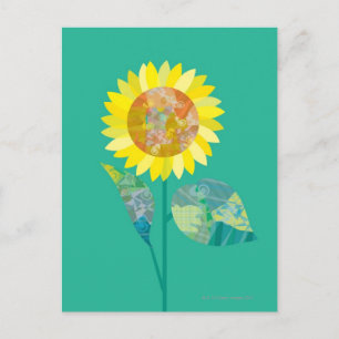 Blooming Sunflowers Postcard