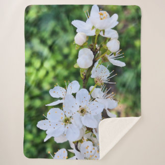 Blooming Tree in Spring Romania – Blossom Photogra Sherpa Blanket
