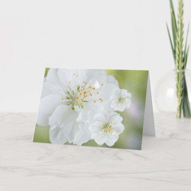 Blooming White Flowers Card (Front)