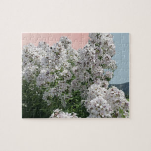 Blooming White Flowers Jigsaw Puzzle