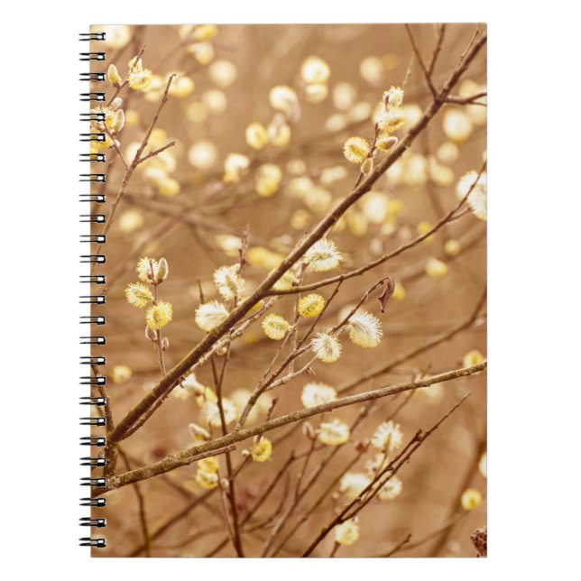 Blooming willow branches in springtime, seasonal v notebook (Front)