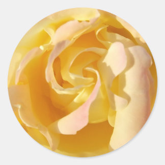 Blooming Yellow Rose Flower Sticker