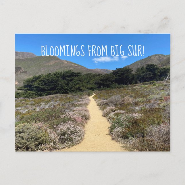 Bloomings from Big Sur! Postcard (Front)