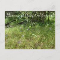 Bloomings from California: Ithuriel’s Spear