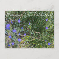 Bloomings from California: Ithuriel's Spear