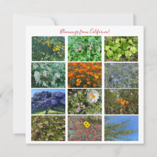Bloomings from California! Note Card