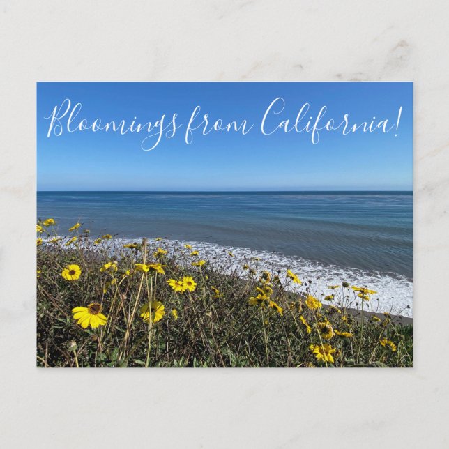 Bloomings from California! Postcard (Front)