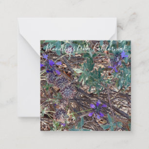Bloomings from California: Purple Sage Card