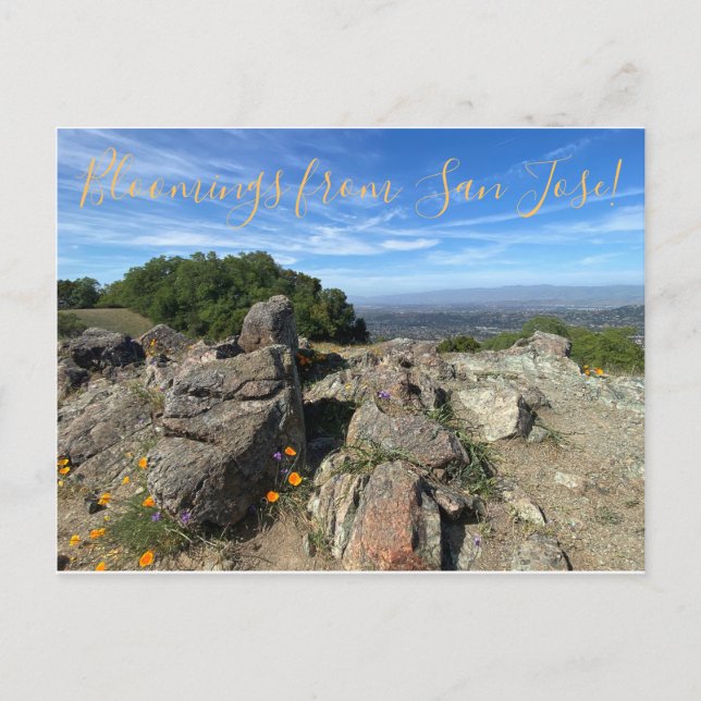 Bloomings from San Jose! Postcard (Front)