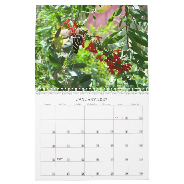 Blooms and Butterflies 2011 Calendar (Jan 2027)