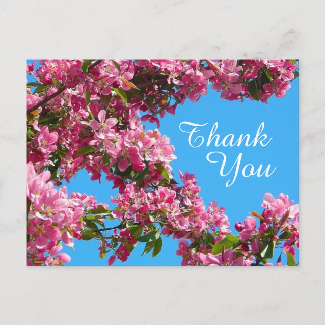 Blossom and Blue Sky Thank You Postcard (Front)
