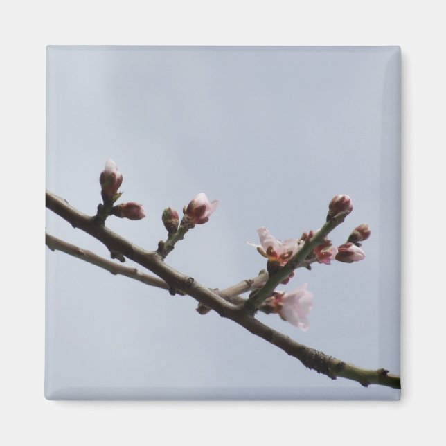 Blossom Branch Magnet (Front)