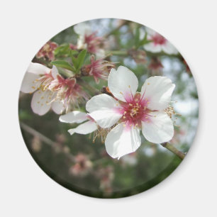 Blossom Flower Magnet