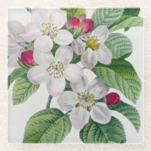 Blossom, from 'Les Choix des Plus Belles Glass Coaster