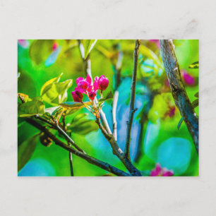 Blossom Inside Postcard