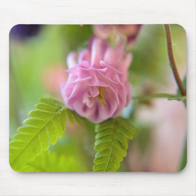 Blossom of a Aquilegia Mouse Pad (Front)