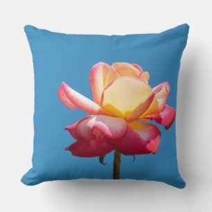 Blossom pink yellow rose cushion
