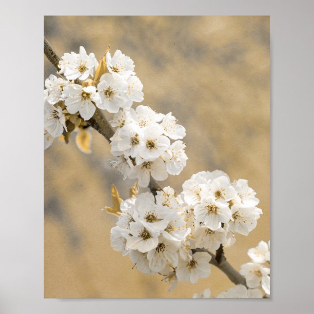 Blossom Symphony Natures Overture Poster (Front)
