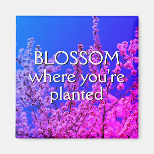 BLOSSOM WHERE YOU'RE PLANTED Encouragement Magnet