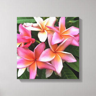 Blossom Wreath Of Pale Pink Frangipani Canvas Print