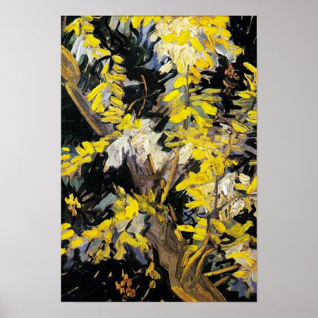 Blossoming Acacia Branches (1890) Van Gogh Art Poster (Front)