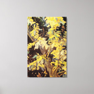 Blossoming Acacia Branches Vincent van Gogh. Canvas Print