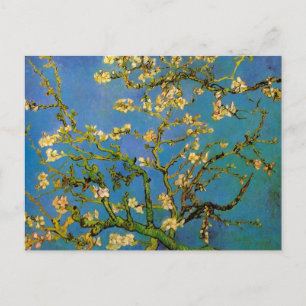 Blossoming Almond Tree by Vincent van Gogh Postcard