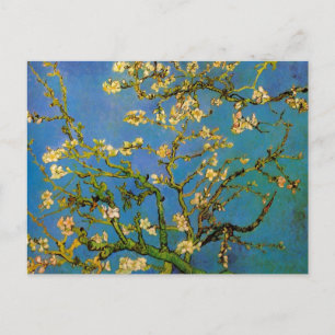 Blossoming Almond Tree by Vincent van Gogh Postcard