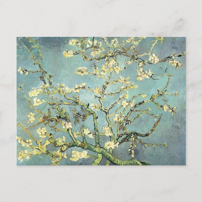Blossoming Almond Tree Van Gogh Fine Art Postcard (Front)