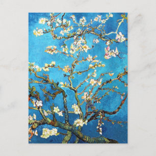 Blossoming Almond Tree Van Gogh Fine Art Postcard