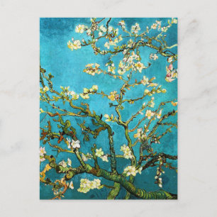 Blossoming Almond Tree Van Gogh Fine Art Postcard