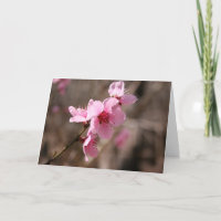 Blossoming Azalea