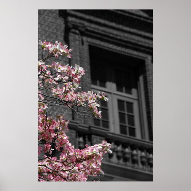 Blossoming Balcony Poster (Front)