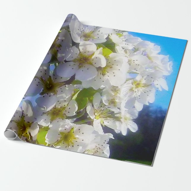  Blossoming branch of a pear  Wrapping Paper (Unrolled)